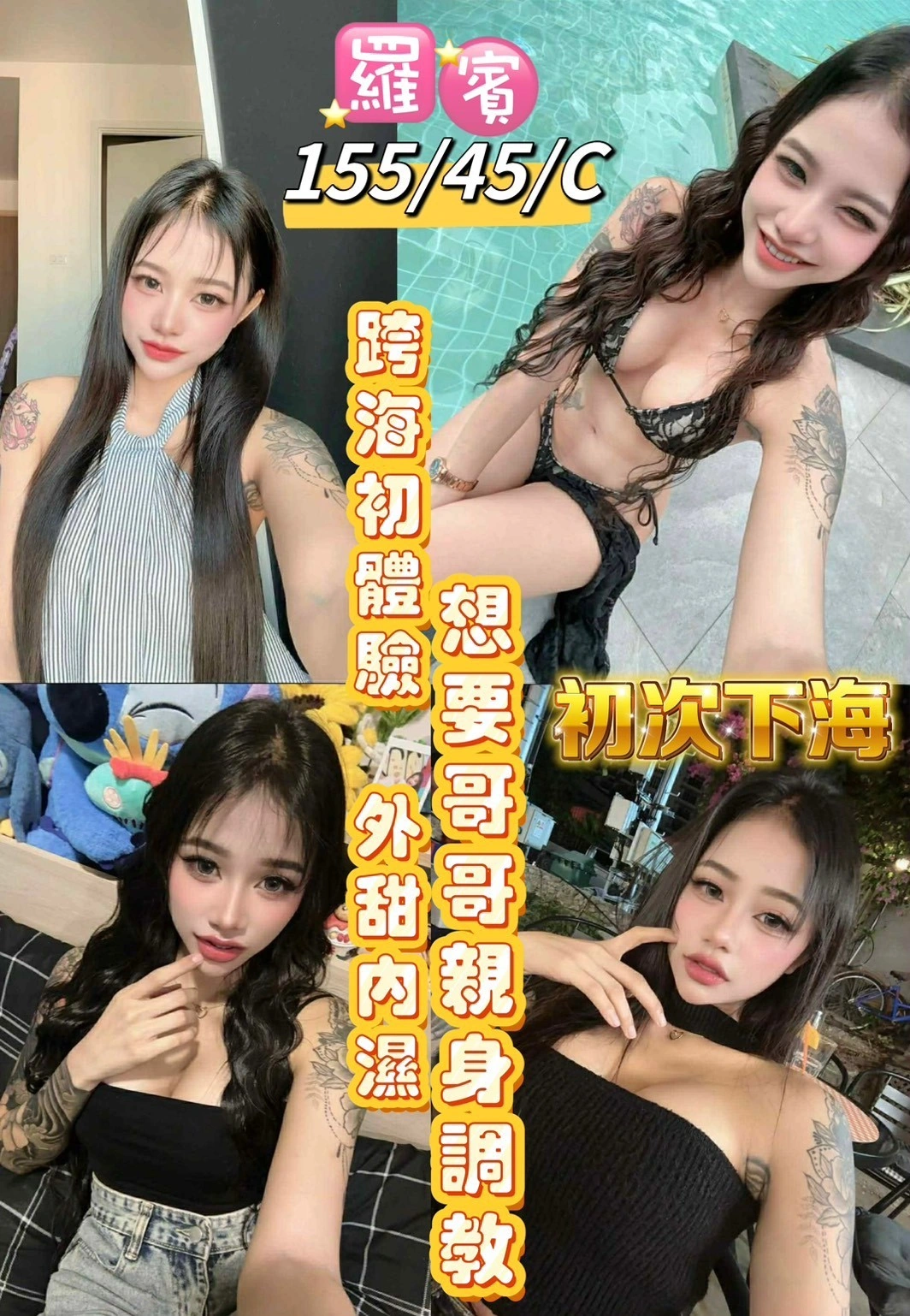 台東定點茶-羅賓/155/45/?/C 台東定點茶-羅賓/155/45/?/C