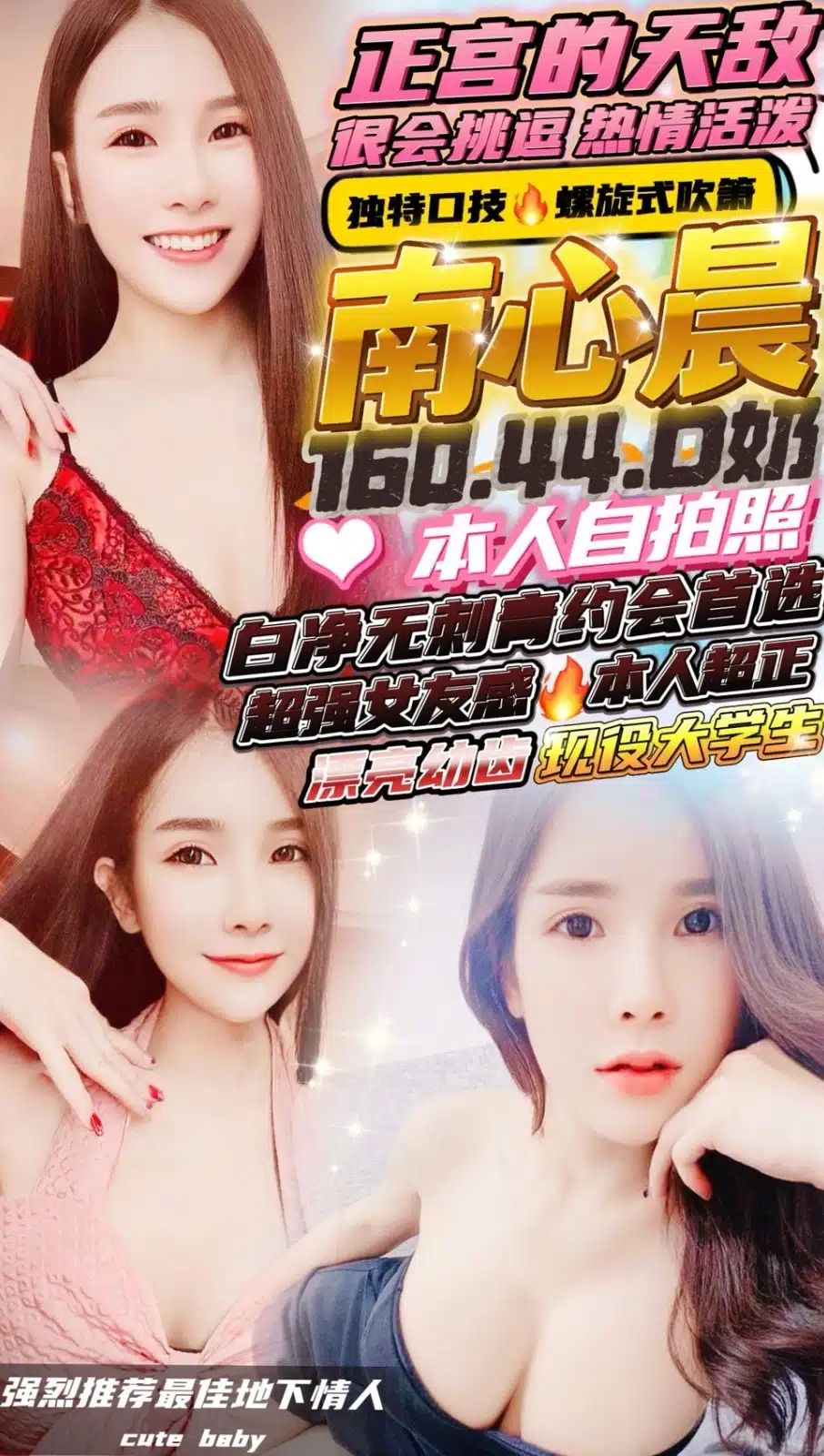 新竹定點茶-南心晨/160/44/?/D 新竹定點茶-南心晨/160/44/?/D