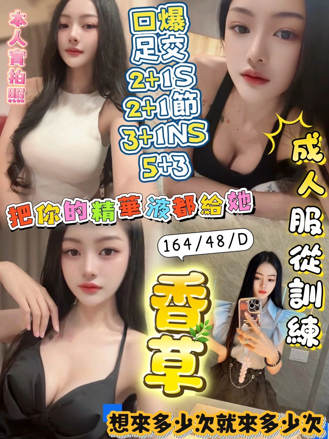 新竹定點茶-香草/164/48/?/D 新竹定點茶-香草/164/48/?/D