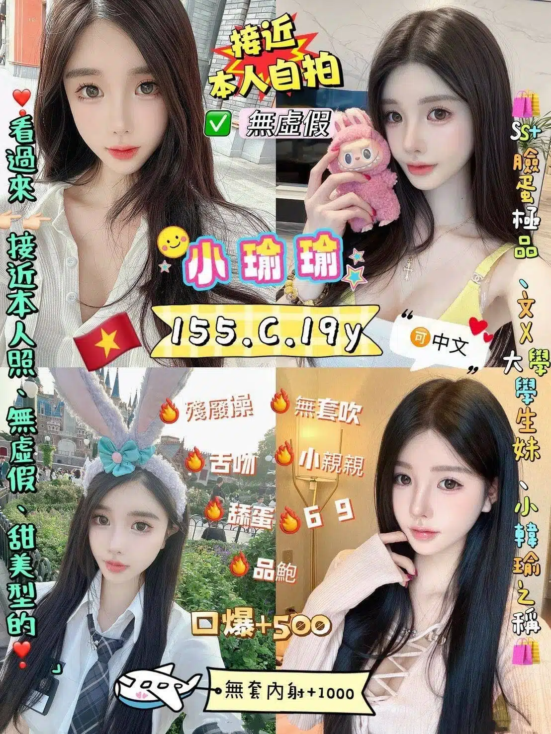 新北定點茶-小瑜瑜/155/42/19/C 新北定點茶-小瑜瑜/155/42/19/C