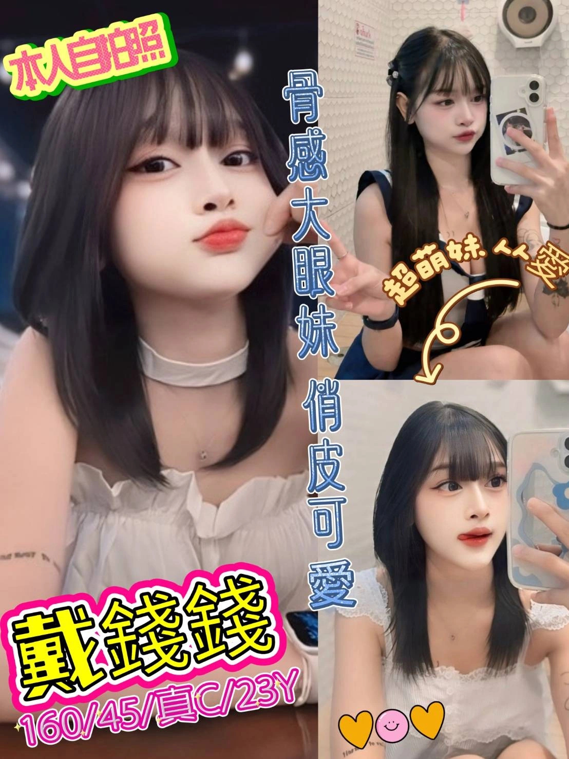 新北定點茶-戴錢錢/160/45/23/C 新北定點茶-戴錢錢/160/45/23/C