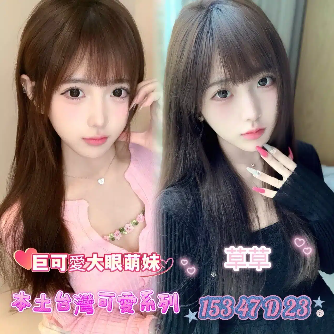 台南定點茶-草草/153/47/23/D 台南定點茶-草草/153/47/23/D