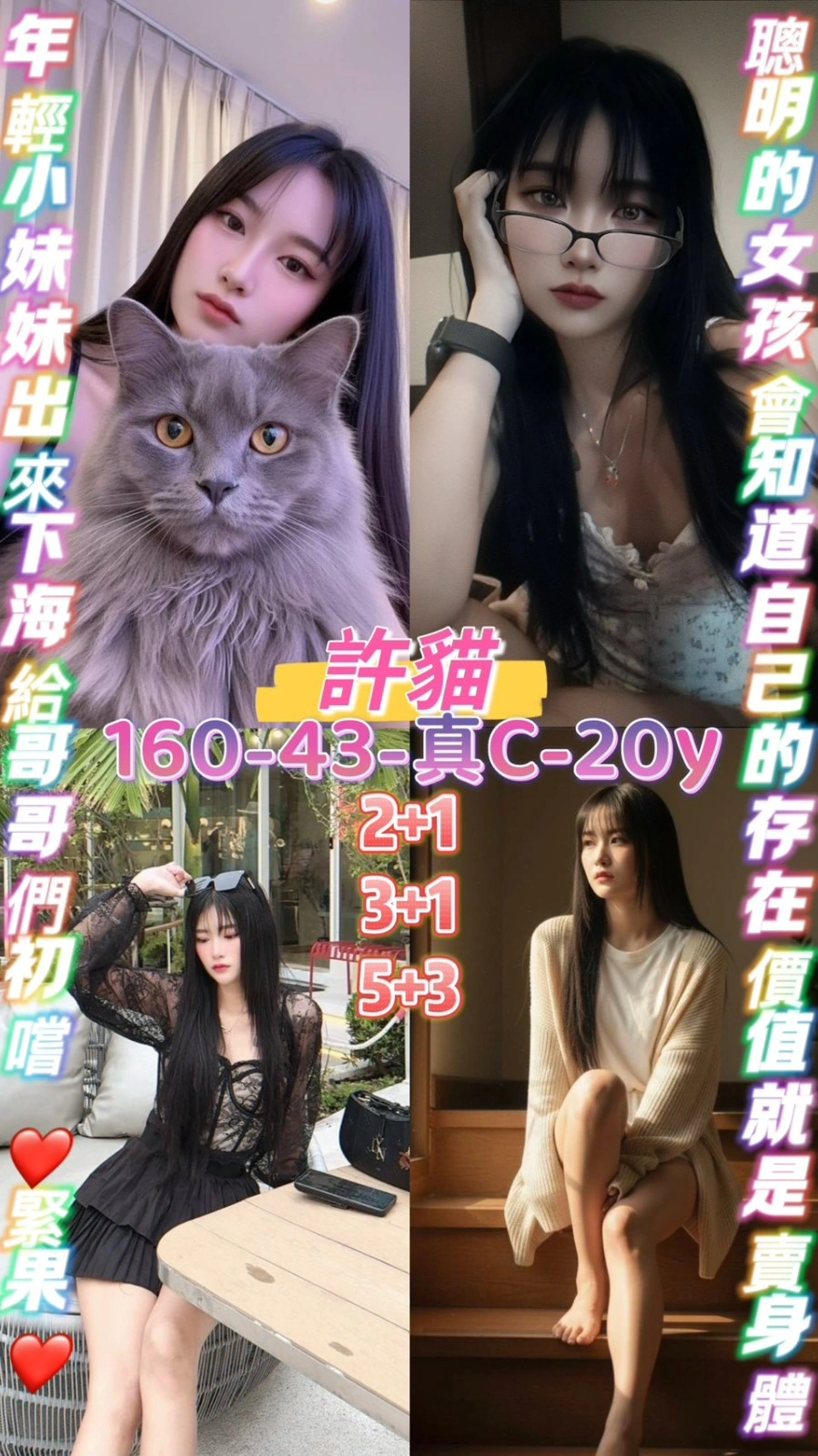 桃園定點茶-許貓/160/43/20/C 桃園定點茶-許貓/160/43/20/C