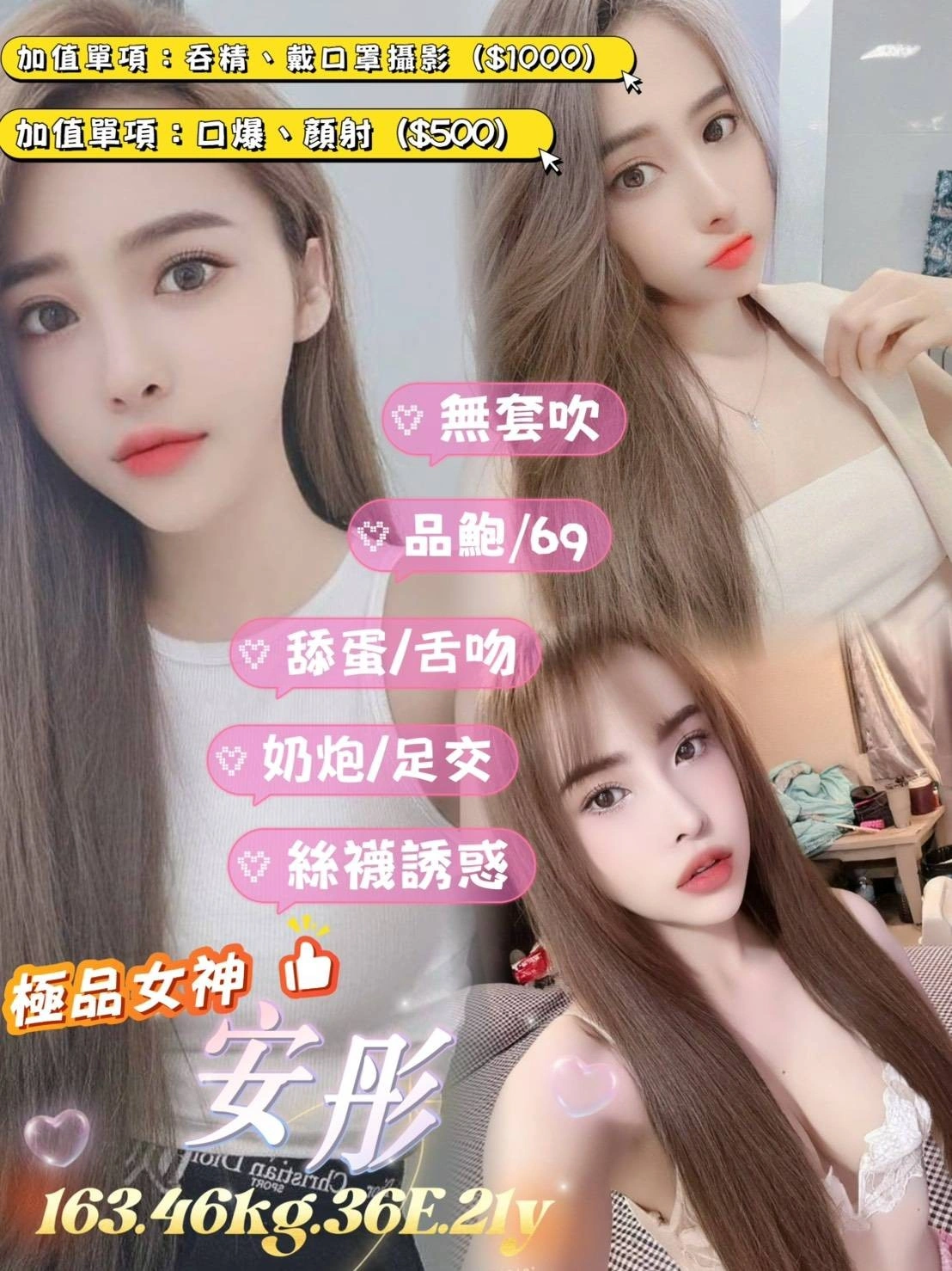 台北定點茶-安彤/163/46/21/E 台北定點茶-安彤/163/46/21/E