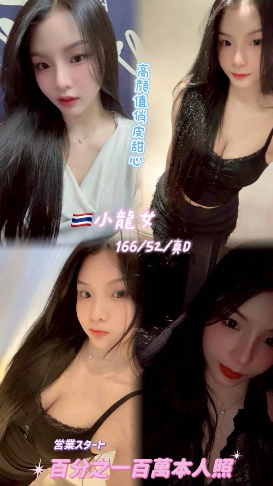 新北定點茶-小龍女/166/52/25/D 新北定點茶-小龍女/166/52/25/D