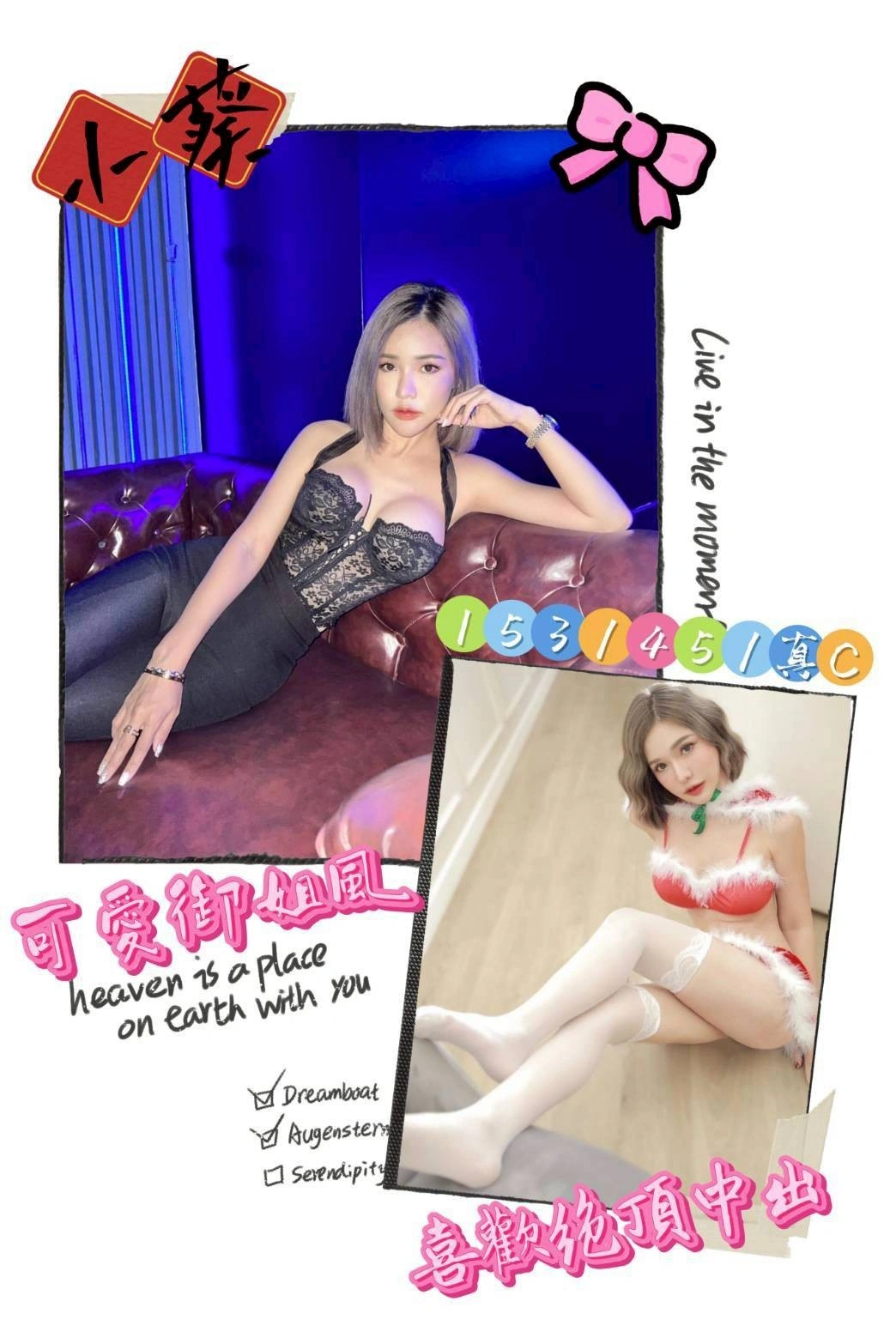 嘉義定點茶-小葵/153/45/?/C 嘉義定點茶-小葵/153/45/?/C