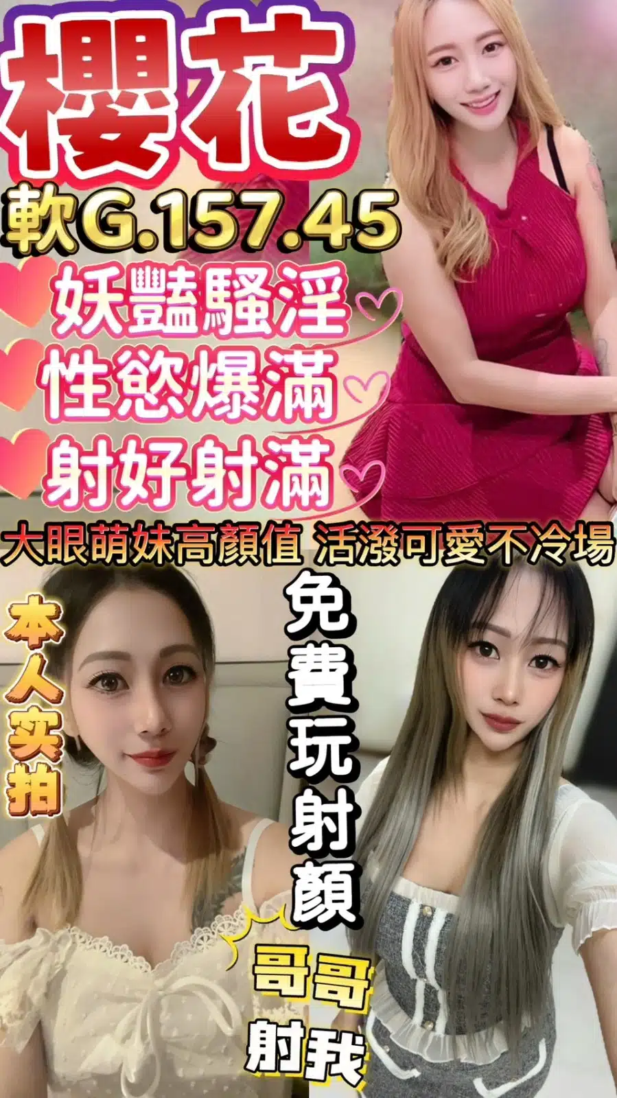 苗栗定點茶-櫻花/157/45/21/G 苗栗定點茶-櫻花/157/45/21/G