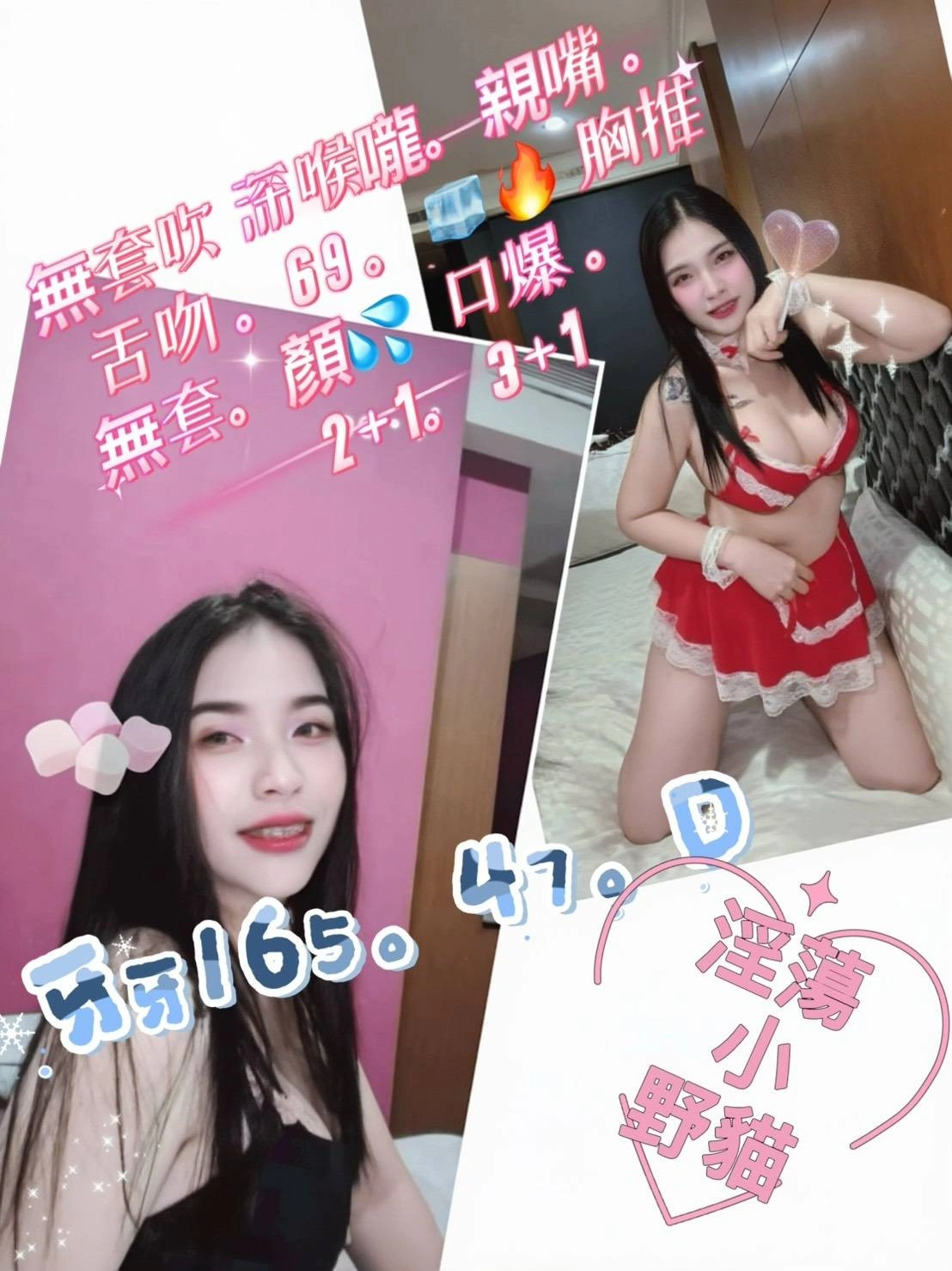 屏東定點茶-牙牙/165/47/?/D 屏東定點茶-牙牙/165/47/?/D