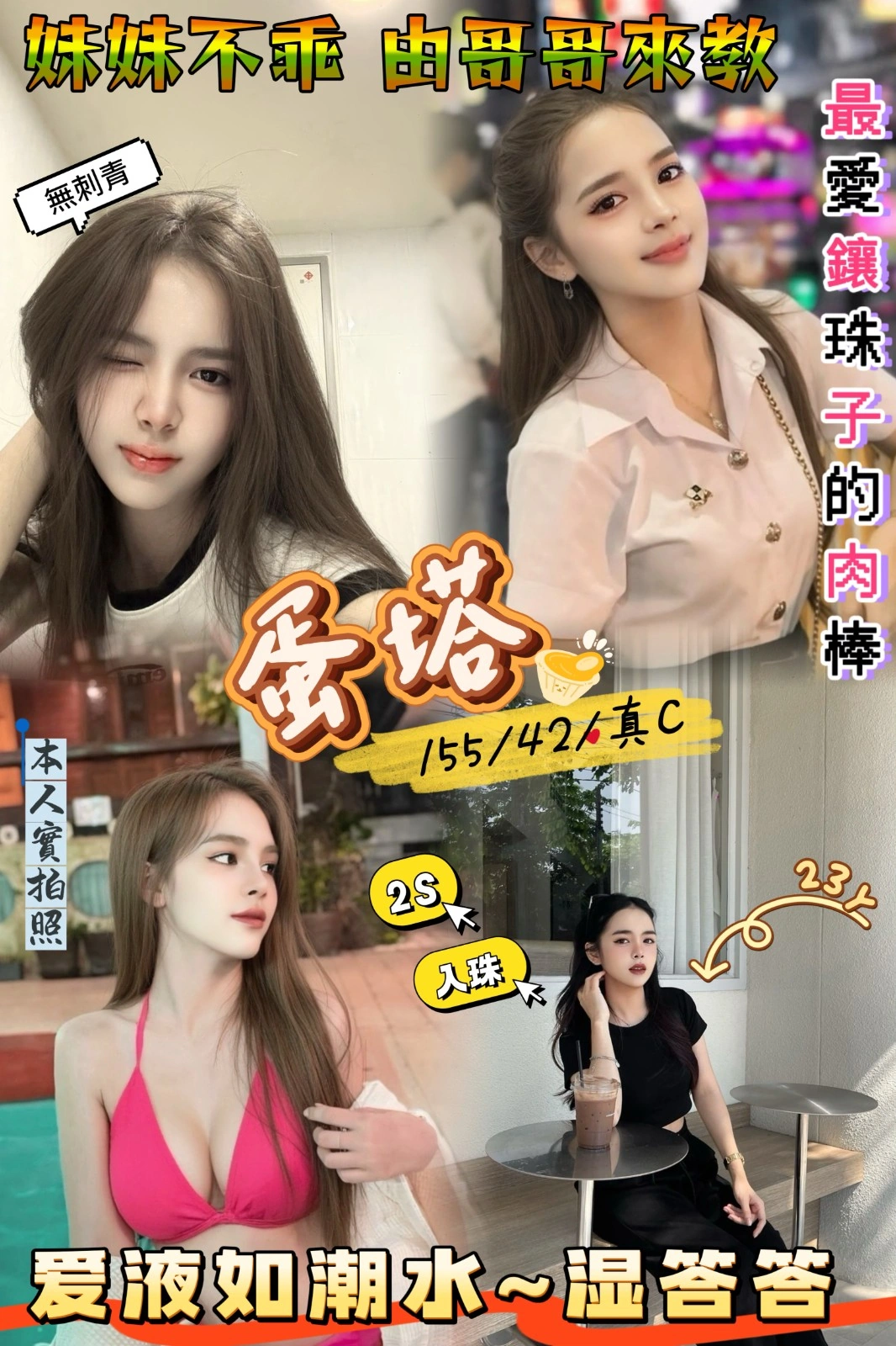 新竹定點茶-蛋塔/155/42/?/C 新竹定點茶-蛋塔/155/42/?/C