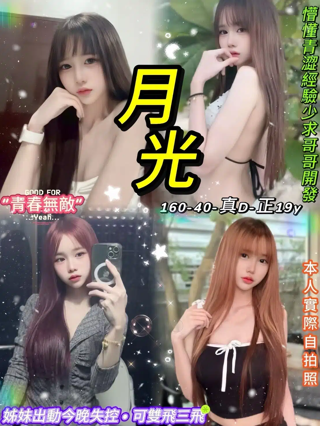 台北定點茶-月光/160/40/19/D 台北定點茶-月光/160/40/19/D