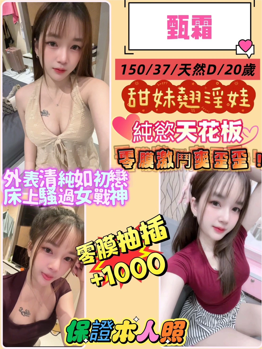 新北定點茶-甄霜/150/37/20/D 新北定點茶-甄霜/150/37/20/D