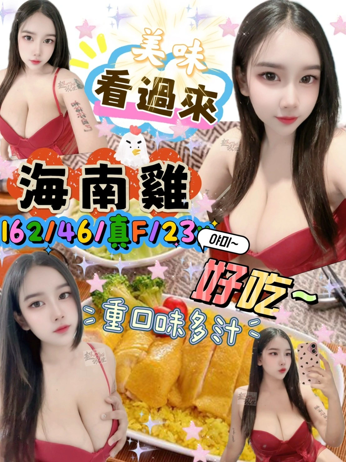 台北定點茶-海南雞/162/46/23/F 台北定點茶-海南雞/162/46/23/F