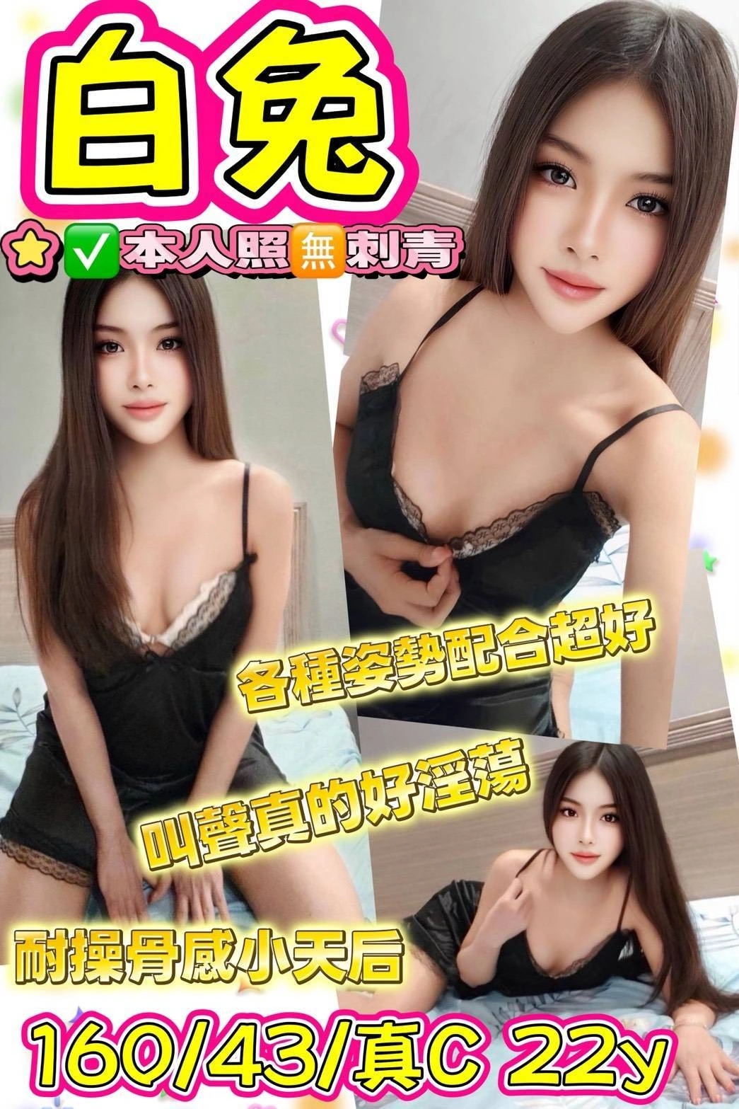 台東定點茶-白兔/160/43/22/C 台東定點茶-白兔/160/43/22/C