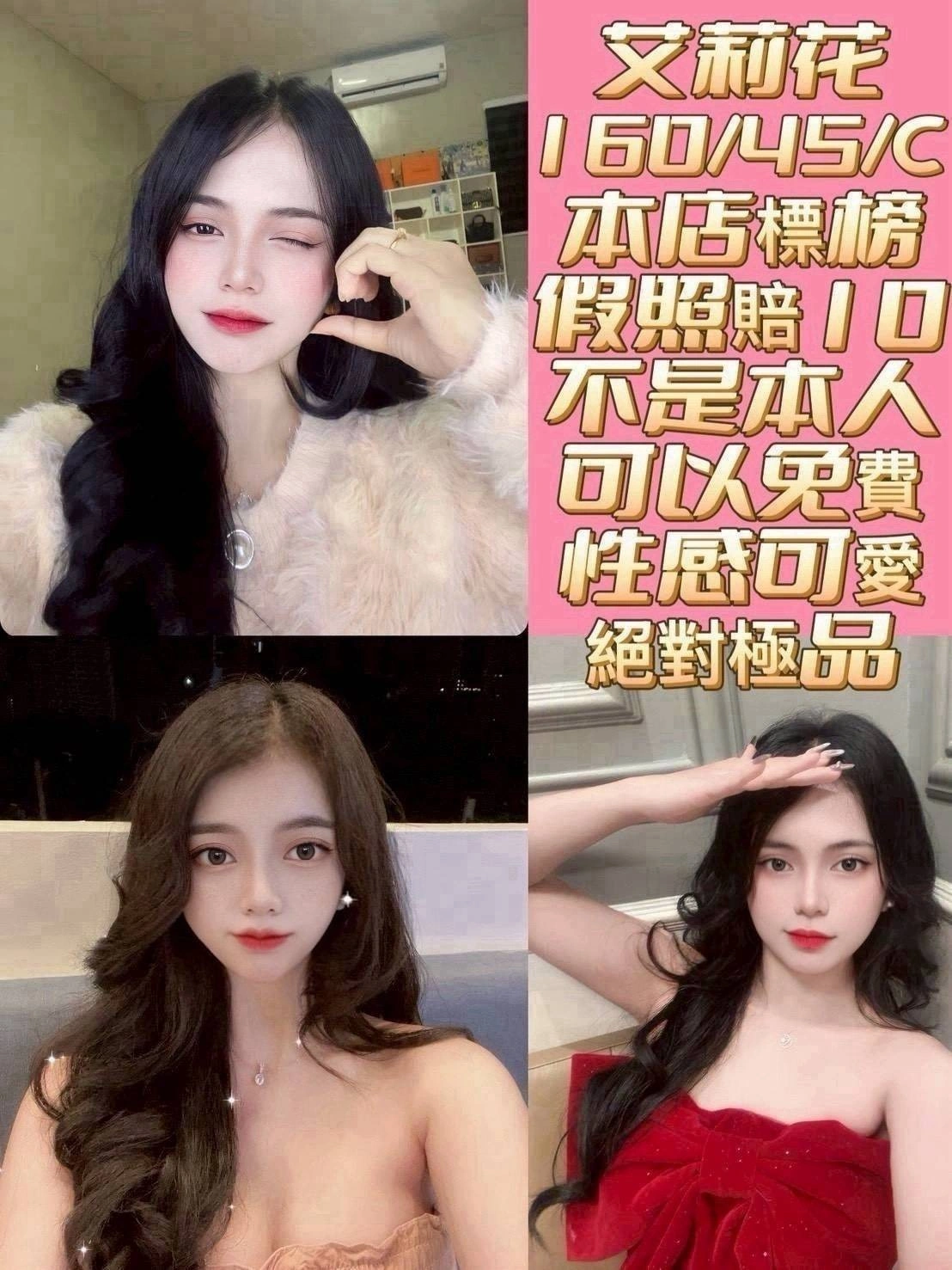 台南定點茶-艾莉花/160/45/?/C 台南定點茶-艾莉花/160/45/?/C