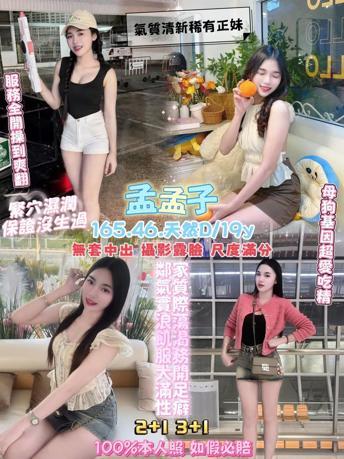 桃園定點茶-孟孟子/165/46/19/D 桃園定點茶-孟孟子/165/46/19/D