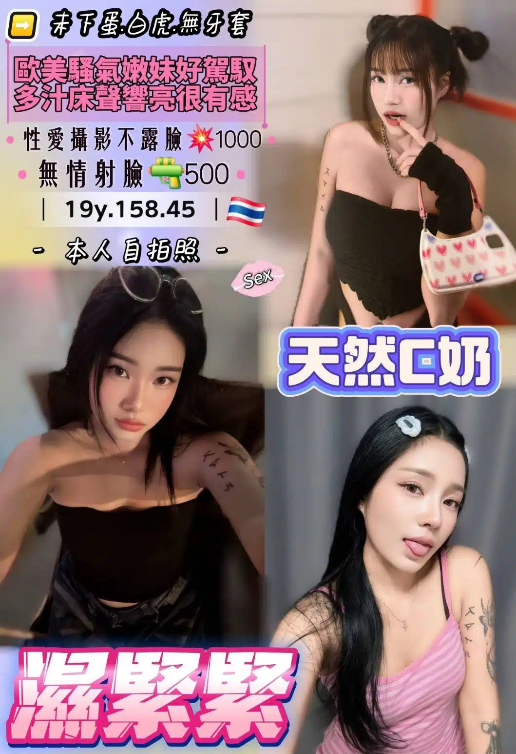 桃園定點茶-濕緊緊/158/45/19/C 桃園定點茶-濕緊緊/158/45/19/C