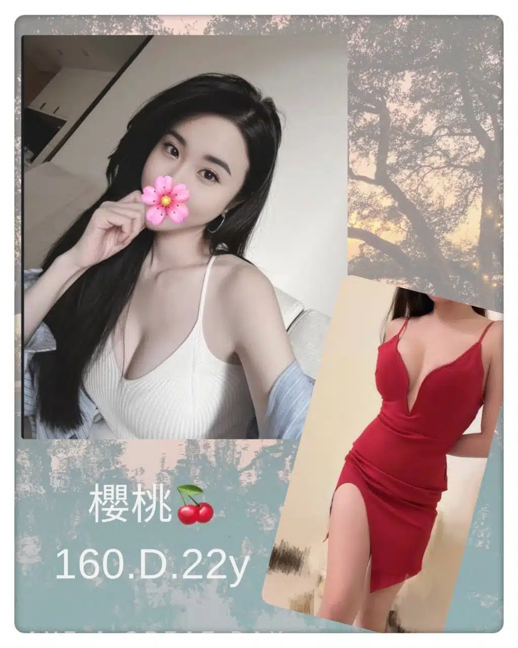 台北外送茶-櫻桃/160/?/22/D 台北外送茶-櫻桃/160/?/22/D