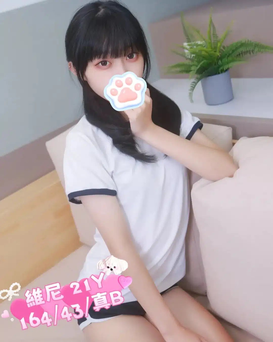 台北定點茶-維尼/164/43/21/B 台北定點茶-維尼/164/43/21/B