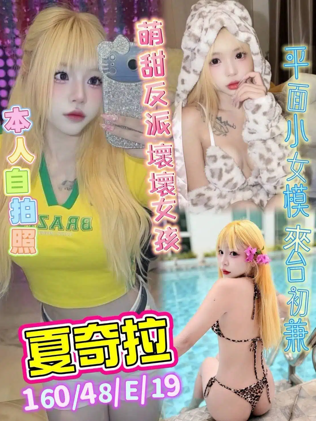 台中定點茶-夏奇拉/160/48/19/E 台中定點茶-夏奇拉/160/48/19/E