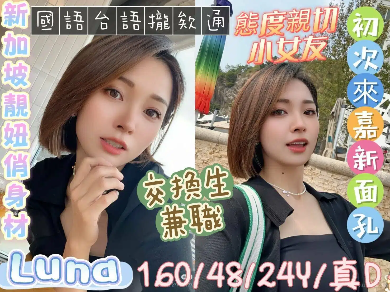 嘉義定點茶-Luna/160/48/24/D 嘉義定點茶-Luna/160/48/24/D