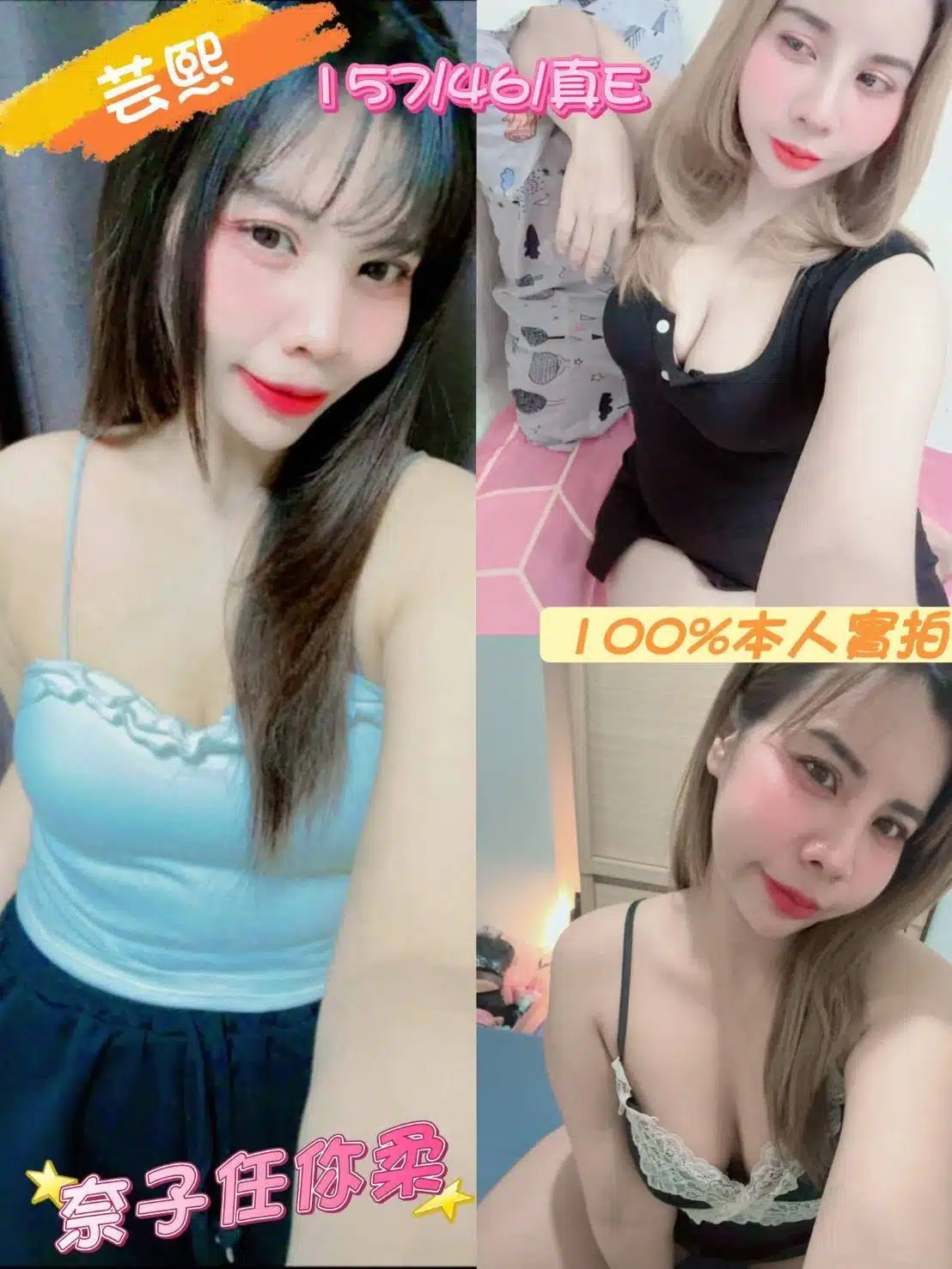 嘉義定點茶-芸熙/157/46/?/E 嘉義定點茶-芸熙/157/46/?/E