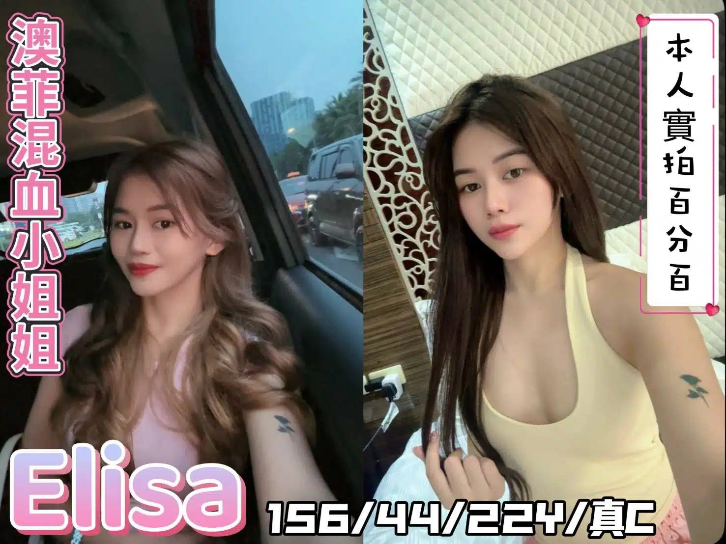 嘉義定點茶-Elisa/156/44/22/C 嘉義定點茶-Elisa/156/44/22/C
