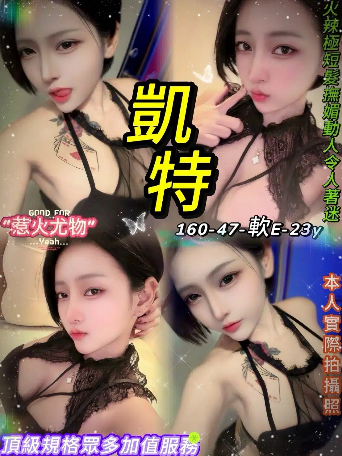 台北定點茶-凱特/160/47/23/E 台北定點茶-凱特/160/47/23/E