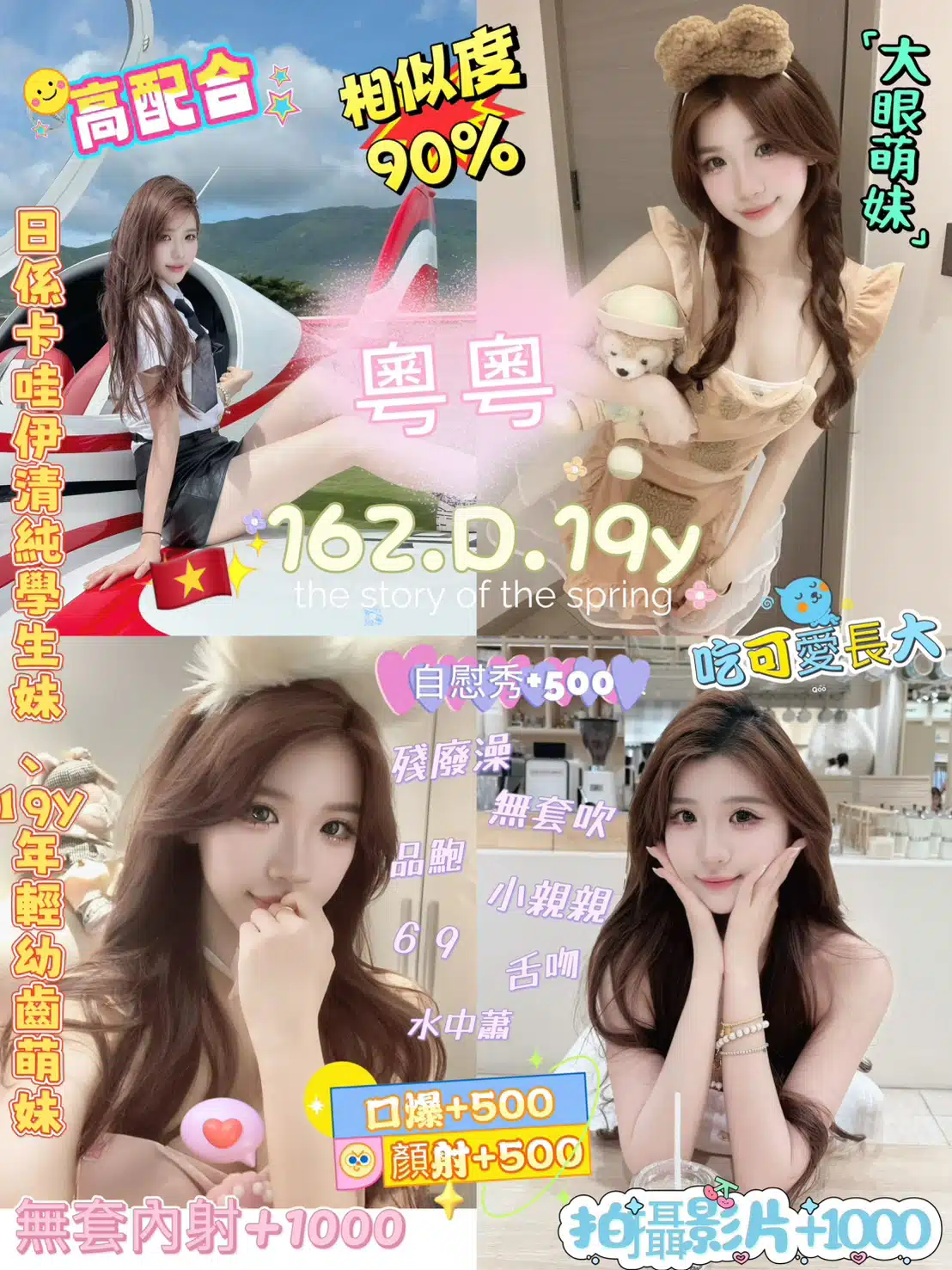 新北定點茶-粵粵/162/48/19/D 新北定點茶-粵粵/162/48/19/D