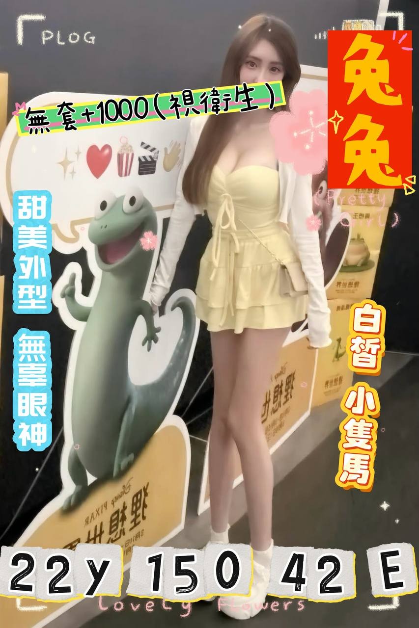 桃園外送茶-兔兔/150/42/22/E 桃園外送茶-兔兔/150/42/22/E