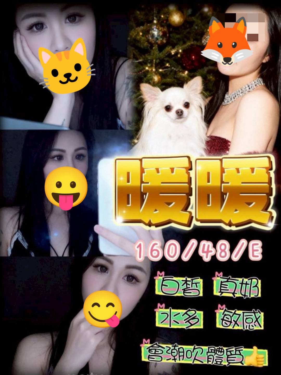 台中定點茶-暖暖/160/48/25/E 台中定點茶-暖暖/160/48/25/E
