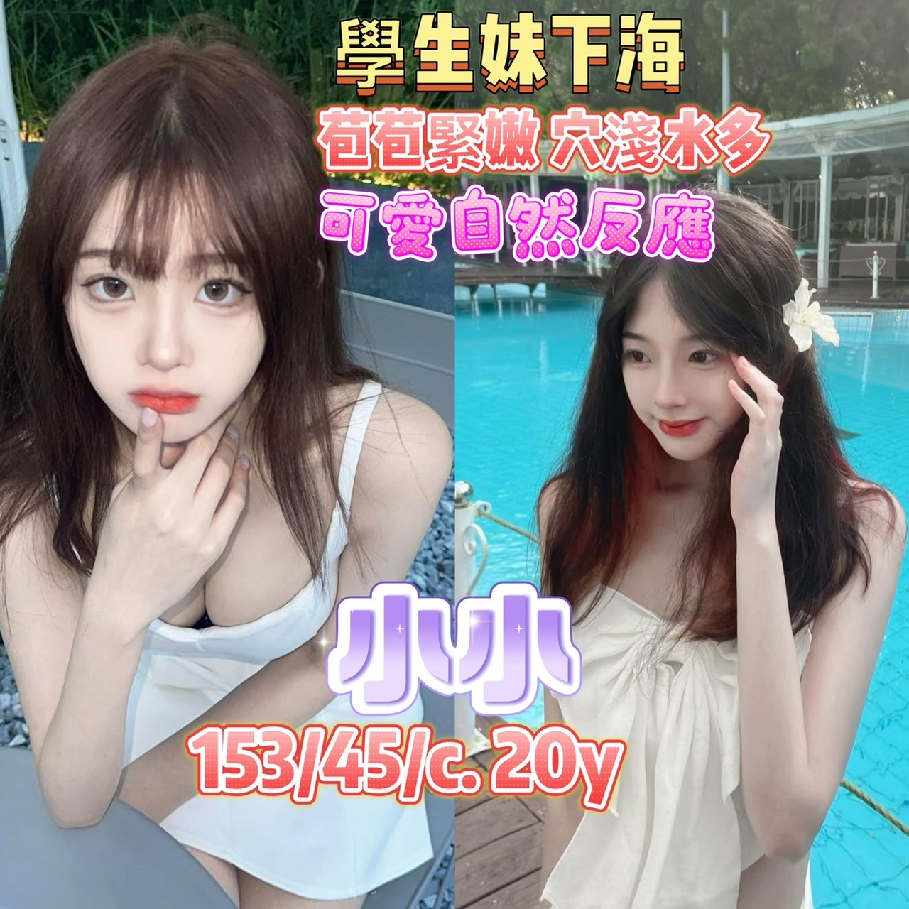 高雄定點茶-小小/153/45/20/C 高雄定點茶-小小/153/45/20/C