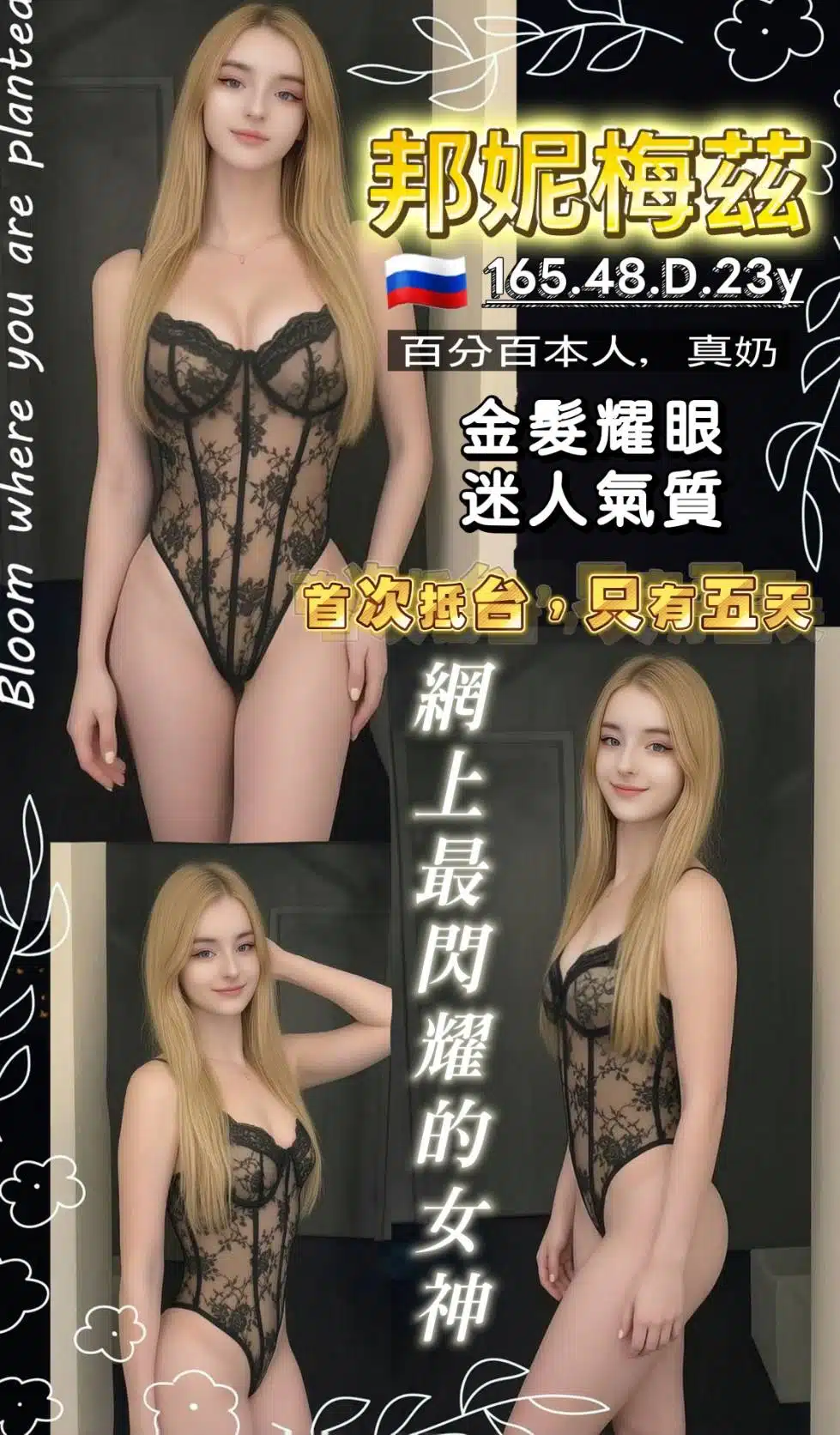 桃園定點茶-邦尼梅茲/165/48/23/D 桃園定點茶-邦尼梅茲/165/48/23/D