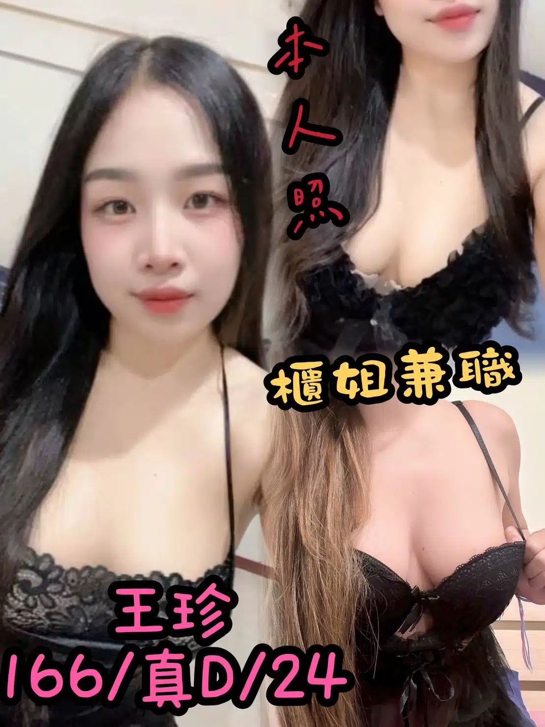 台中定點茶-王珍/166/?/24/D 台中定點茶-王珍/166/?/24/D