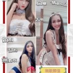 新北定點茶:美安168/50/32C