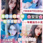 桃園定點茶:安安163/47/C/20Y