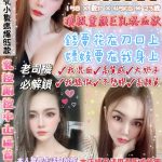 台北定點茶劉詩詩