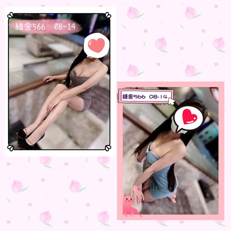 綠舍566