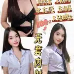 苗栗定點茶:愛麗絲 160/48/D