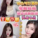 苗栗定點茶:星奈愛 162/47/D