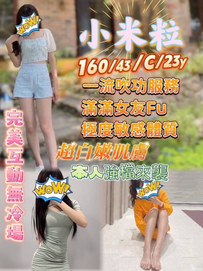 台南定點茶-小米粒160-43-C-23Y