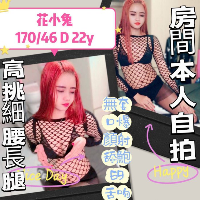 台中外送茶花小兔17046D22Y