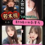 台南外送茶: 若木楓 158/43/E/22Y