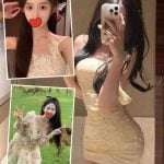 台中外送茶: 明兒 153/C/18Y