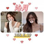 台北外送茶:沁月168/E/19Y