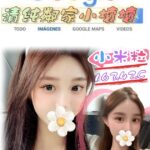 台北外送茶: 小米粒 156/42/C