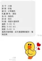桃園定點茶-小琪