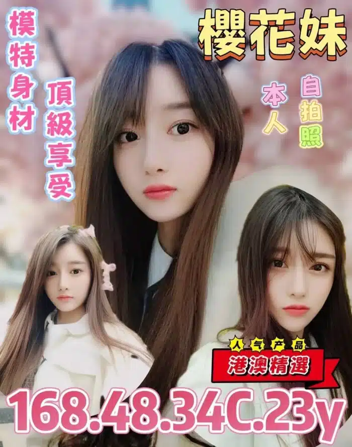 台北定點茶-櫻花妹