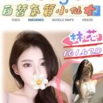 台北外送茶: 林芯 161/42/D