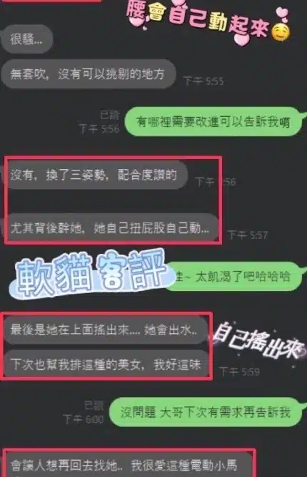彰化定點茶-軟貓