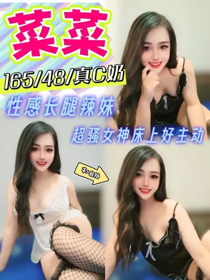 南投定點茶-菜菜